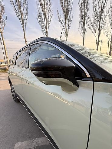 Weltmeister: Weltmeister W6, 2022 г. — 24