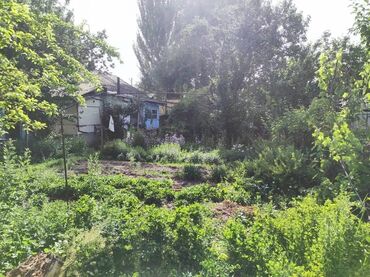 Продажа домов: Дом, 100 м², 5 комнат, Собственник at lalafo.kg — 4 Продажа домов: Дом, 100 м², 5 комнат, Собственник — 4