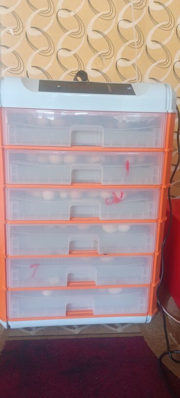 ev esya: Az işlənmiş 380 yumurtalıq