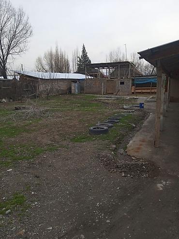 Продажа коттеджей и домов: Продаётся частный дом с большим двором и хозяйственными постройками — 4