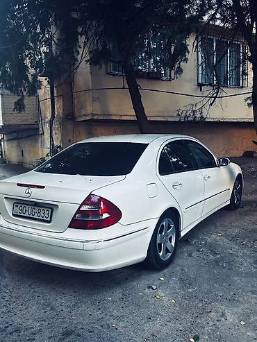 Mercedes-Benz: Mercedes-Benz E-Class (W211) sedan, ağ rəng. - Kuzov: 4 qapı — 2