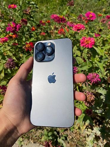 IPhone 13 Pro, Б/у, 128 ГБ, Графит, 77 %