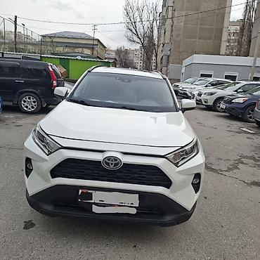 тойота рав 4 2017: Toyota RAV4: 2019 г., Гибрид, Кроссовер — 1