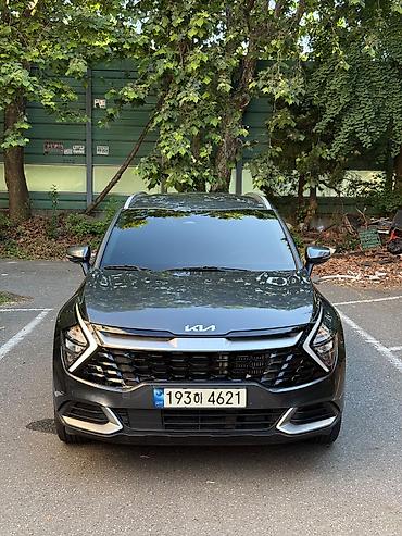 range river: Kia Sportage: 2021 г., 1.6 л, Автомат, Гибрид, Кроссовер — 1