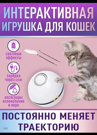 переноски для кошек: Интерактивная игрушка шар для кошек Электрический, катается по полу
