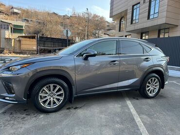 Lexus: Lexus NX: 2020 г., 2 л, Бензин, Кроссовер