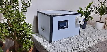 İnkubatorlar: Mexaniki 120 yumurta tutumlu inkubator.Mexanikidir Gunde 2 defe — 2