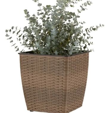 Vaze i saksije: Saksija, bоја - Šareno, Novo — 2