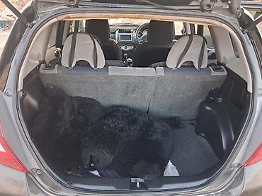 акорд 2 4: Honda Fit: 2005 г., Автомат, Хэтчбэк — 6