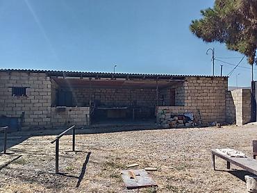 buzovnada torpaq: 4 sot, Biznes üçün, Mülkiyyətçi — 9