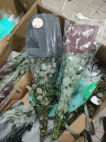 Букеты из живых цветов: Голландские Тюльпаны Оптом и в розницу!И Розы размеры 70см 80 см и 60 — 10