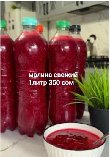 сельдерей купить бишкек: Малина