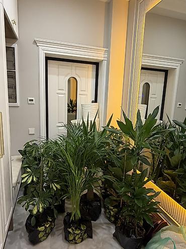 Продажа таунхаусов: 🔥Продается «*ТАУНХАУС*»7-ком 4-х этаж с террасой *НЕО-ХАТЕК* 📍 — 38