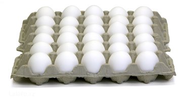İnkubatorlar: Karton Yumurta Tepsisi istehsal edən aparat Quşçuluğun geniş yayıldığı