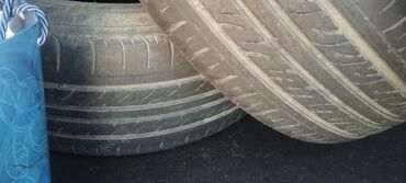 İnformatika: Şin Windforce 205 / 60 / R 15