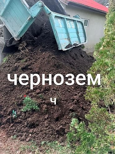 В тоннах, Бесплатная доставка, Зил