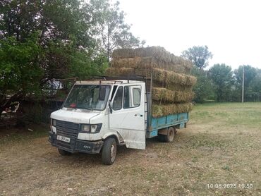 грузовые техники: Легкий грузовик, Mercedes-Benz, Дубль, 3 т, Б/у