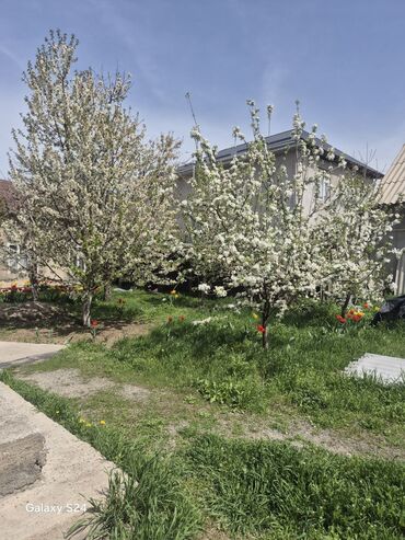 Продажа домов: Дом, 160 м², 8 комнат, Собственник, ПСО (под самоотделку) — 33