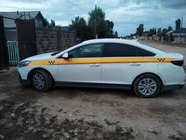 купить машину в рассрочку без банка: Белый седан Hyundai, оформленный как такси, с характерной желтой