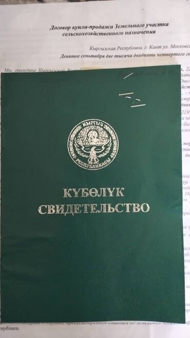 продаю дом рабочий гарадок: 210 соток, Для сельского хозяйства, Договор купли-продажи