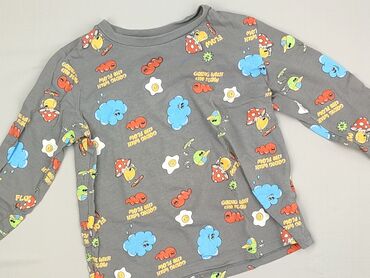 koszulka panda: Bluza, SinSay, 3-4 lat, 98-104 cm, stan - Idealny