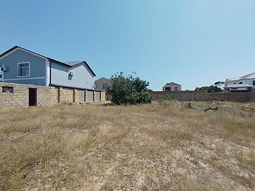 gen: 20 sot, Tikinti, Makler, Kupça (Çıxarış) — 5