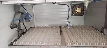 İnkubatorlar: Yumurta inkubasiya aparatı – “Automatic Computer Control Incubator” — 2