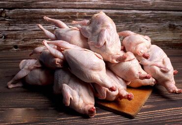 super alabay kl: Курица, Liqorin, Broyler, Для мяса, Самовывоз, Платная доставка, Доставка в районы