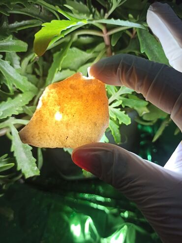 Dekorativ daşlar: İşıq keçirən Təbii Kvars daşı ✨💎 Qiymətlə bağlı maraqlananlar zəhmət — 7