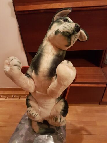 Oyuncaqlar: Oyuncaq it. Çin istehsalı. Uzunluğu 70 - 75 sm. Qiyməti 50 - manat -da lalafo.az — 10 Oyuncaqlar: Oyuncaq it. Çin istehsalı. Uzunluğu 70 - 75 sm. Qiyməti 50 - manat — 10