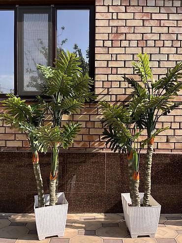 Декоративные цветы: 🌿 Мы — Mayram Decor KG, ваш надежный партнёр в создании эффектных и — 29