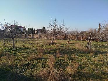 barter kupça: 12 sot, Tikinti, Maklerlər narahat etməsin, Kupça (Çıxarış) — 5