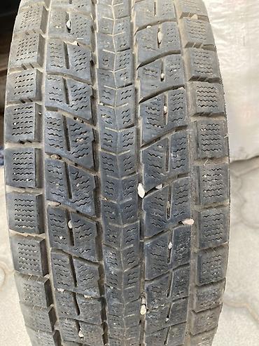 55: Зимняя шина Dunlop (липучка), модель Winter Maxx SJ8 — 2