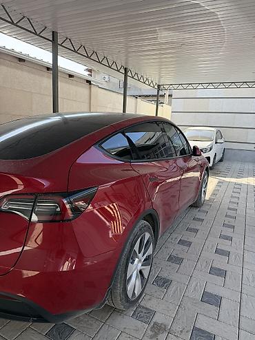 Tesla: Tesla Model Y: 2021 г., 0.1 - engine capacity л, Автомат, Электромобиль, Кроссовер — 5