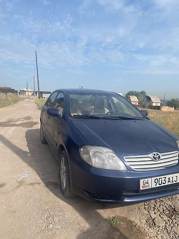 брызговик на камри: Toyota Corolla: 2005 г., 1.6 л, Механика, Бензин, Седан — 4