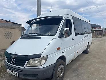 утук фото: Mercedes-Benz Sprinter (длинная база, высокий потолок) – пассажирский — 3
