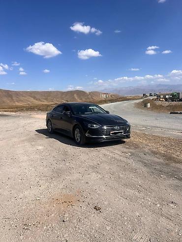 byd фара: Hyundai Sonata: 2020 г., 2 л, Автомат, Газ, Седан — 1