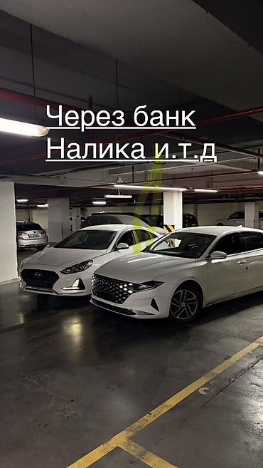 соната выкуп: Hyundai Sonata: 2019 г., Автомат, Газ, Седан — 2