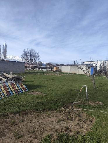 5 соток, Курулуш, Кызыл китеп — 2