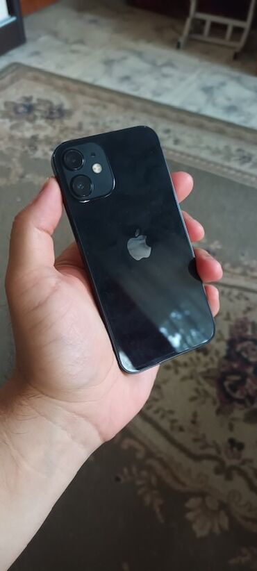 11 мини айфон: IPhone 12 mini, Кара