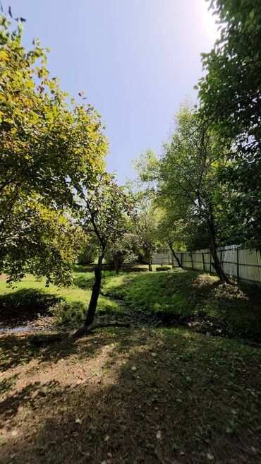 Torpaq sahələrinin satışı: 185 sot, Mülkiyyətçi, Kupça (Çıxarış) — 25