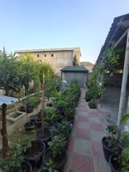 Həyət evləri və villaların satışı: Merdekanda gözel yerde 4 sotda 4 otaqlı ev satılır qazı, ışıqı, suyu — 5