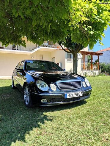 Sale cars: Mercedes-Benz E 200: 1.8 l. | 2004 έ. Λιμουζίνα