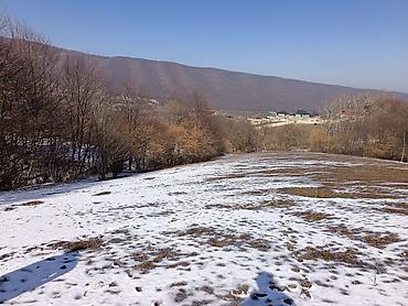 Torpaq sahələrinin satışı: 100 sot, Mülkiyyətçi, Bələdiyyə — 2