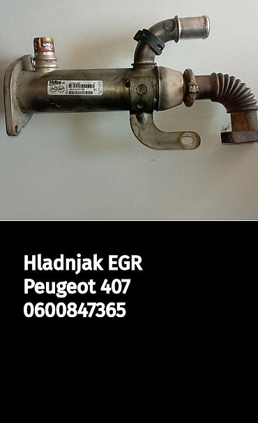 komora za pumpicu: Hladnjak EGR za Peugeot 407 - Originalni deo: Valeo (oznaka vidljiva — 1