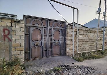 simental buzov satışı: 3 otaqlı, 50 kv. m, Kredit yoxdur, Orta təmir — 1