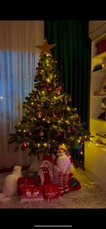 yeni il ağaci: Satılır. Ölçüsü texmini 130sm, yeni kimidir keçen il alınıb köçle