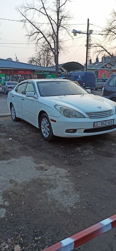 лехсуз ес: Lexus ES: 2004 г., 3.3 л, Автоматтык, Газ, Седан