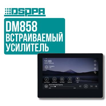 усилитель 2 канальный: Встраиваемый усилитель DSPPA DM858 Встраиваемый усилитель с