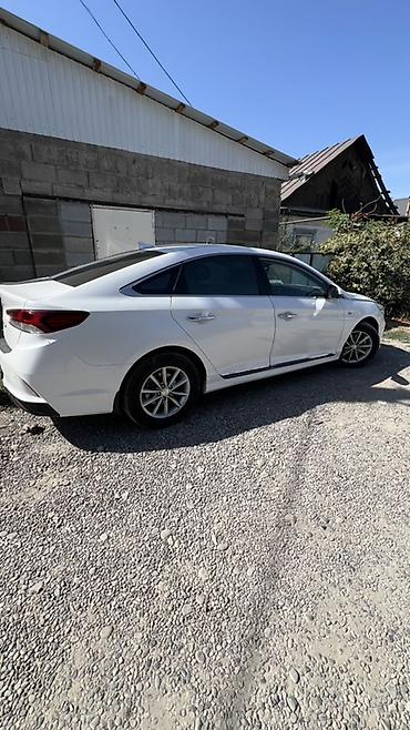 sonata 2014: Hyundai Sonata: 2019 г., 2 л, Автомат, Газ, Седан — 2